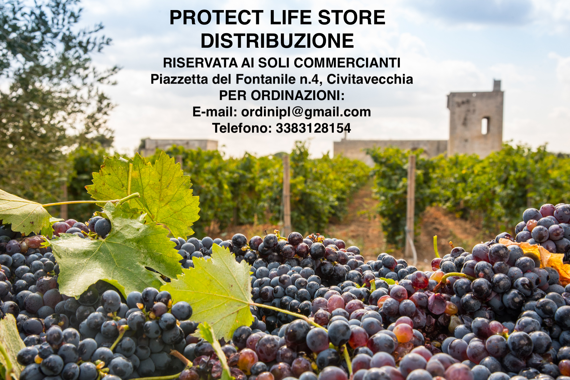 RISERVATO AI COMMERCIANTI CON PARTITA IVA